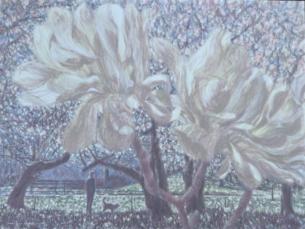 Memories of Spring is Coming in 2024